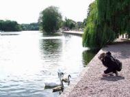 Ellesmere, Shropshire